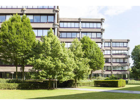 nice offices to let as from 250 m² up to 4.000 m²