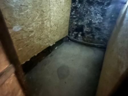 cave paris xiv 66 rue didot - saine  sécurisée  sol béton avec assurance
