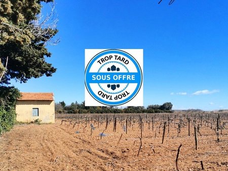 dpt hérault (34)  terrain agricole d'environ 3000 m2 avec mazet et parcelle viticole à fro