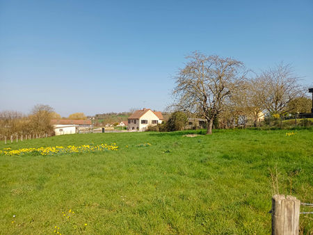 terrain de 2 597 m² avec une partie constructible