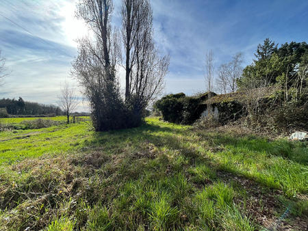 vente terrain à mauves-sur-loire (44470) : à vendre / 1101m² mauves-sur-loire