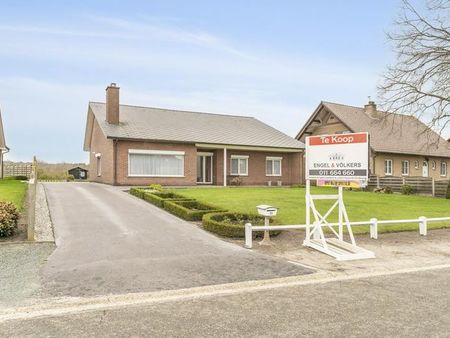 maison à vendre à eksel € 335.000 (kmb6x) - engel & volkers noord-limburg | zimmo