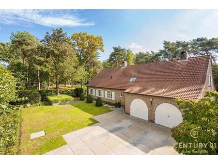home for sale  paradijs 6 / oud-turnhout 2360 belgium