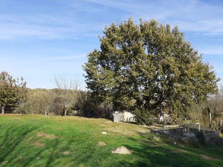 terrain à bâtir à castanet-tolosan (31320)