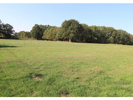 vente terrain 6100 m²