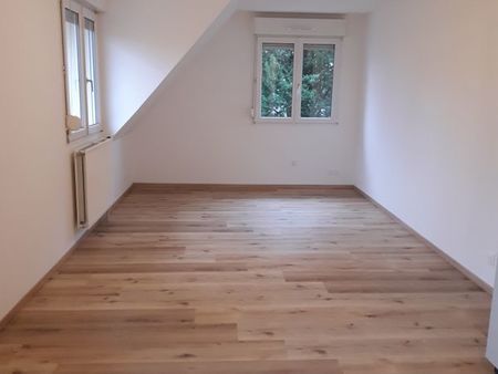 2 p.  46 m² à illkirch  refait à neuf (avec cuisine équipée neuve) + possibilité d'un gara