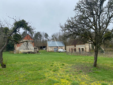 propriete de chasse en sologne / vallee du cher