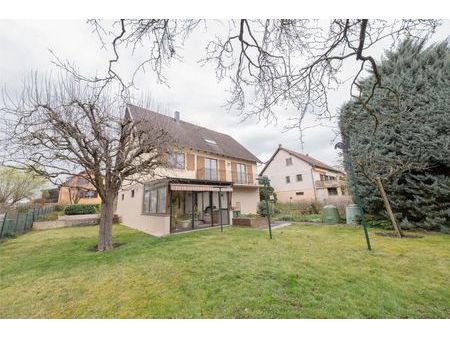 prestigieuse maison en vente oberschaeffolsheim  france