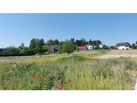 terrain 508 m² dietwiller