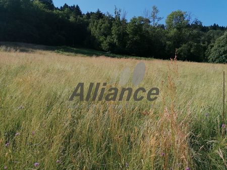 terrain 3000 m² amage