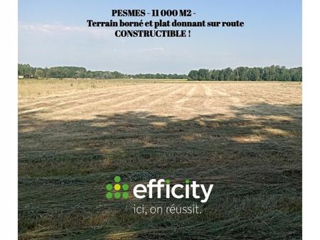 terrain 11 000 m² pesmes