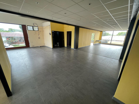 local professionnel - 177m² - remire montjoly