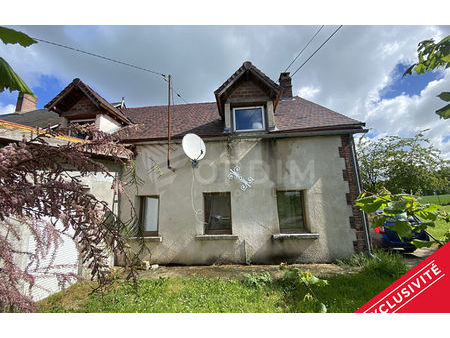 vente maison 7 pièces 127 m² douchy-montcorbon (45220)