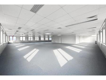 nice offices to let as from 250 m² up to 2.300 m²