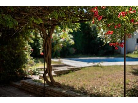 carcassonne - maison de caractère 250m2 - local professionnel 63m2 - jardin - piscine