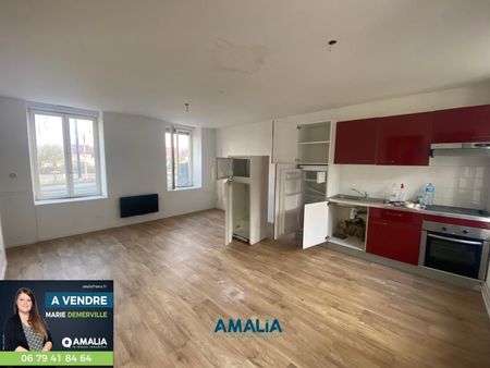 appartement 44 m² montreuil
