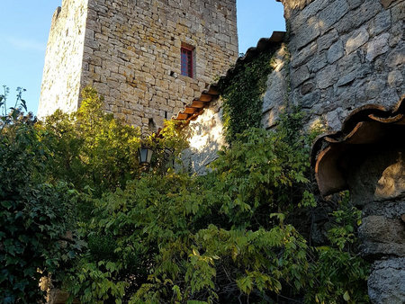 lasalle  magnifique château fort du xéme siècle sur 1 5 ha d