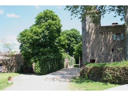 magnifique château médiéval avec 18 ha.  éventuellement un gîte en plus