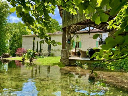 beau moulin à eau rénové avec piscine et jardins exotiques