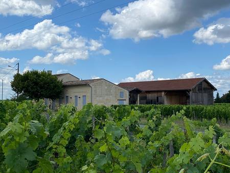 terroir remarquable pour ce vignoble de 2 hectares dans l'appellation saint emilion grand.