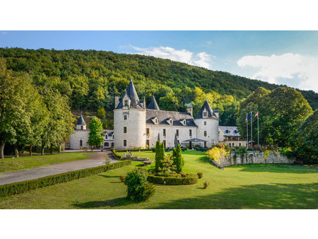 vente château montignac 50 pièces 3370 m²