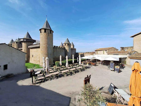 vente maison carcassonne : 850 000€
