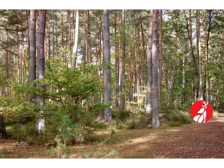 15 mn de barbizonrn propriété sur environ 2 hectares de terrain boisé au coeur de la forêt