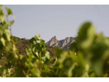 propriété viticole bio 15 ha aop côtes du roussillon et villages  outil de travail complet