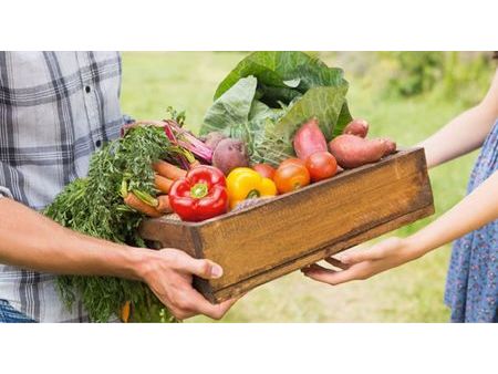 recherche local fruit et légumes