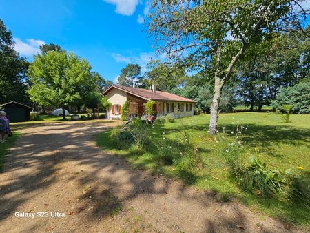 maison landaise rénovée 90m2 sur parcelle de 5000m2