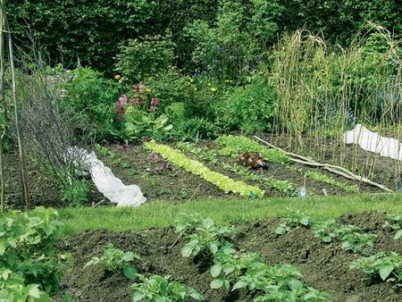loue jardin potager gratuitement contre partage légumes