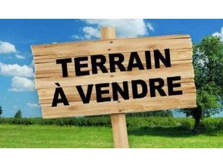 vente terrain 3067 m²