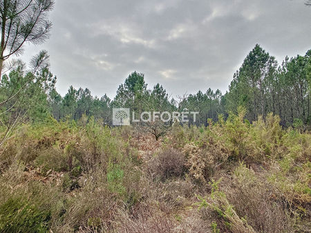 terrain   1375m² 2044