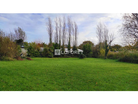 terrain   782m² 10877