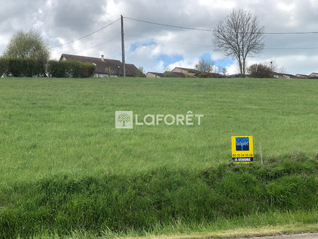 terrain   2915m² 12649