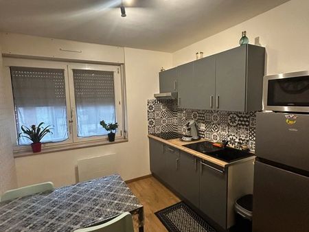 appartement 1 chambre