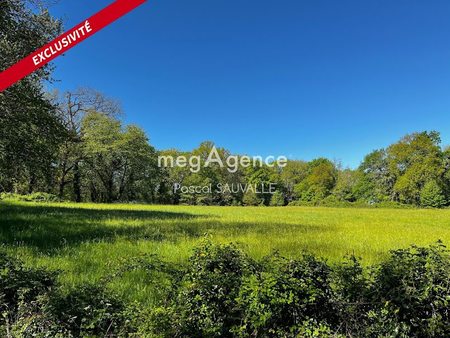 vente terrain 1000 m²