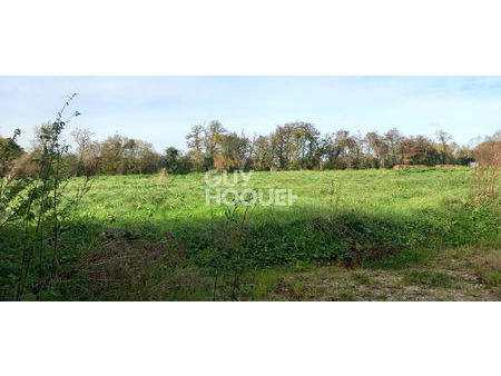 terrain   1283m² 3738