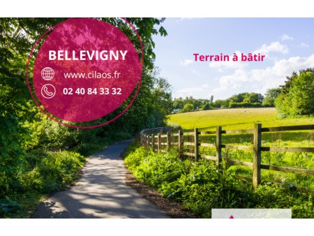vente terrain à construire 836 m² bellevigny (85170)