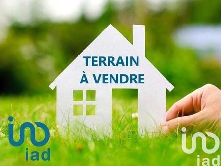 vente terrain à saint-nicolas-des-motets (37110) : à vendre / 1414m² saint-nicolas-des-mot