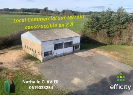 vente locaux professionnels 3 pièces 320 m²