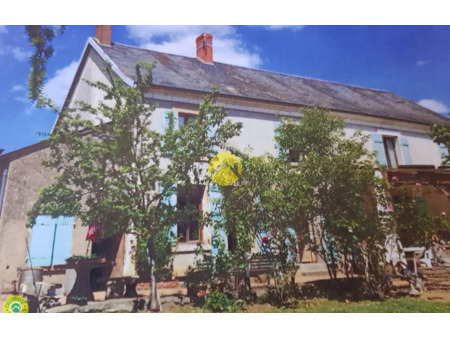 vente maison 10 pièces 195 m² saint-georges-sur-moulon (18110)