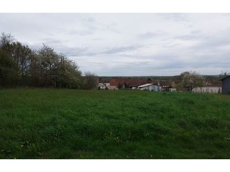 vente terrain 1003 m² lamarche-sur-saône (21760)