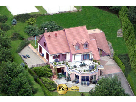 immobilier de luxe : villa en vente à saint-amarin (68) avec
