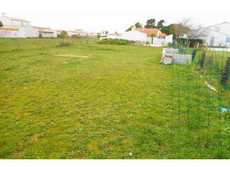 vente terrain 995 m² saint-denis-d'oléron (17650)