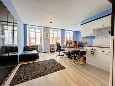 appartement altkirch 2 pièce(s) 33.46 m2 special investisseur !!!