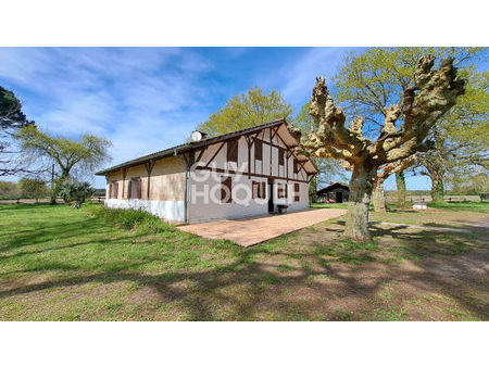 a vendre : belle maison landaise d'environ 136 m² à saint-yaguen (40400)