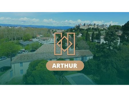 'arthur' superbe gite à carcassonne