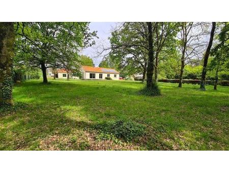vente maison à saint-aignan-grandlieu (44860) : à vendre / 145m² saint-aignan-grandlieu