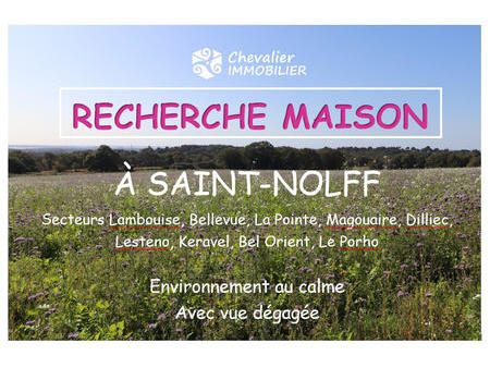 vente maison à saint-nolff (56250) : à vendre / 95m² saint-nolff